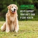 nutramax-welactin-3---canine-120---softg-2.jpg
