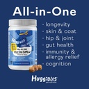 all-in-1-dog-multivitamins-and-supplemen-3.jpg