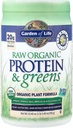 garden-of-life-raw-organic-protein-green-3.jpg