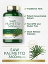 carlyle-saw-palmetto-for-men-and-women-3-3.jpg
