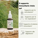 essential-organic-oil-of-oregano-100-pur-6.jpg