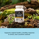 ancient-nutrition-regenerative-organic-c-4.jpg