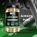 pure-original-ingredients-lions-mane-730-5.jpg