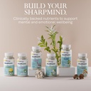 solaray-sharpmind-focus-mental-alertness-6.jpg