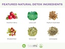 teami-colon-cleanse-and-detox-tea-all-na-3.jpg