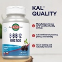 kal-vitamin-b-6-b-12-folic-acid-suppleme-5.jpg