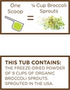 koyah---organic-usa-broccoli-sprout-powd-3.jpg