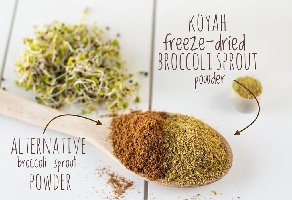 koyah---organic-usa-broccoli-sprout-powd-4.jpg