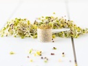 koyah---organic-usa-broccoli-sprout-powd-6.jpg