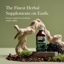 gaia-herbs-black-elderberry-nighttime-sy-2.jpg