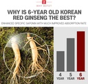 boto-6-year-korean-red-ginseng-extract-p-4.jpg