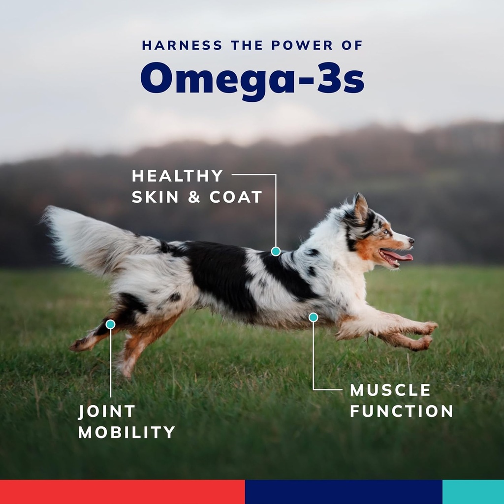 omega-3-and-vitamin-supplement-softgel-c-4.jpg