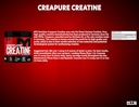 mts-nutrition-creapure-creatine-powder---6.jpg