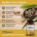 cordyceps-endurance-formula-natural-ener-4.jpg