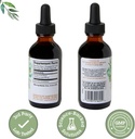 quantum-health-elderberry-liquid-extract-2.jpg
