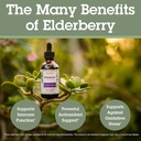 quantum-health-elderberry-liquid-extract-4.jpg