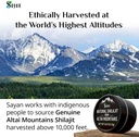 sayan-pure-authentic-altai-shilajit-resi-3.jpg