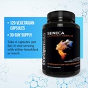 intelligent-labs-seneca-nootropic-brain--3.jpg