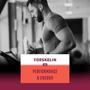 bundle-of-forskolin-weight-loss-suppleme-6.jpg