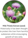 botanic-choice-milk-thistle-liquid-extra-4.jpg