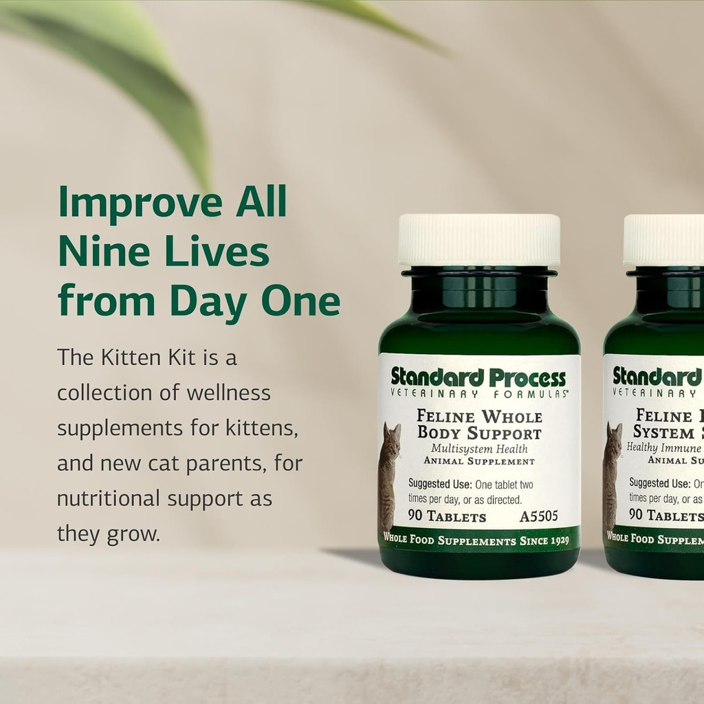 standard-process-kitten-kit---overall-he-3.jpg