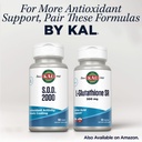 kal-sod-2000-antioxidant-supplement---be-6.jpg