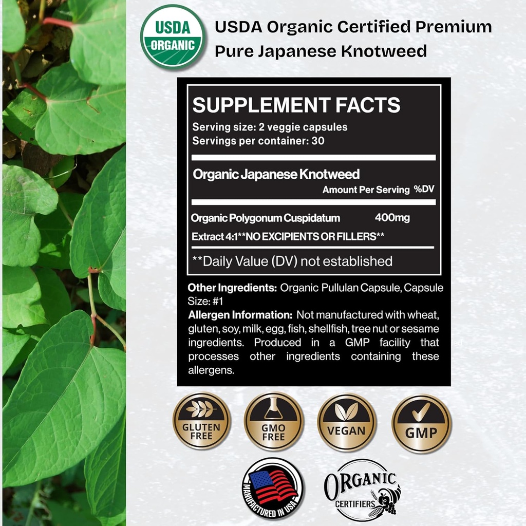 premium-usda-organic-japanese-knotweed-y-4.jpg
