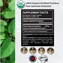 premium-usda-organic-japanese-knotweed-y-4.jpg
