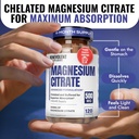 benevolent-premium-magnesium-citrate-500-6.jpg