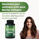 fablab-bovine-collagen-type-i-supplement-4.jpg