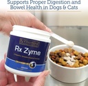 rx-vitamins-rx-zyme-powder---digestive-e-2.jpg