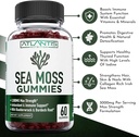 irish-sea-moss-gummies---3000mg---formul-2.jpg