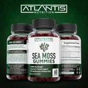 irish-sea-moss-gummies---3000mg---formul-6.jpg