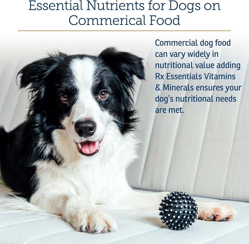 rx-vitamins-essentials-for-dogs---daily--4.jpg