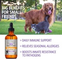 sovereign-silver-pets-immune-support---c-2.jpg