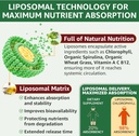 organic-chlorophyll-liquid-drops-liposom-3.jpg