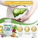 vital-liver-support---premium-liver-clea-3.jpg