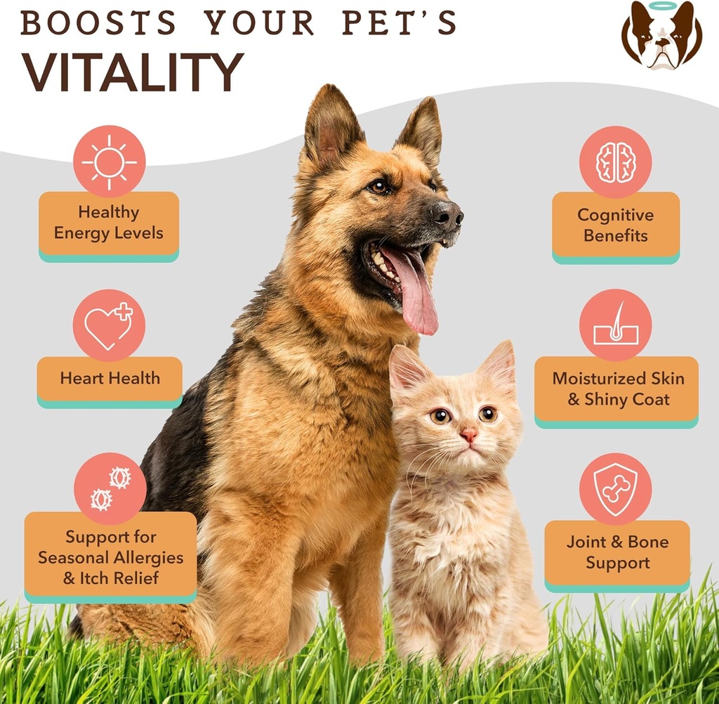 natural-dog-company-healthy-skin-bundle--4.jpg