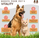 natural-dog-company-healthy-skin-bundle--4.jpg