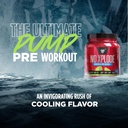 bsn-no-xplode-cool-rush-pre-workout-powd-4.jpg