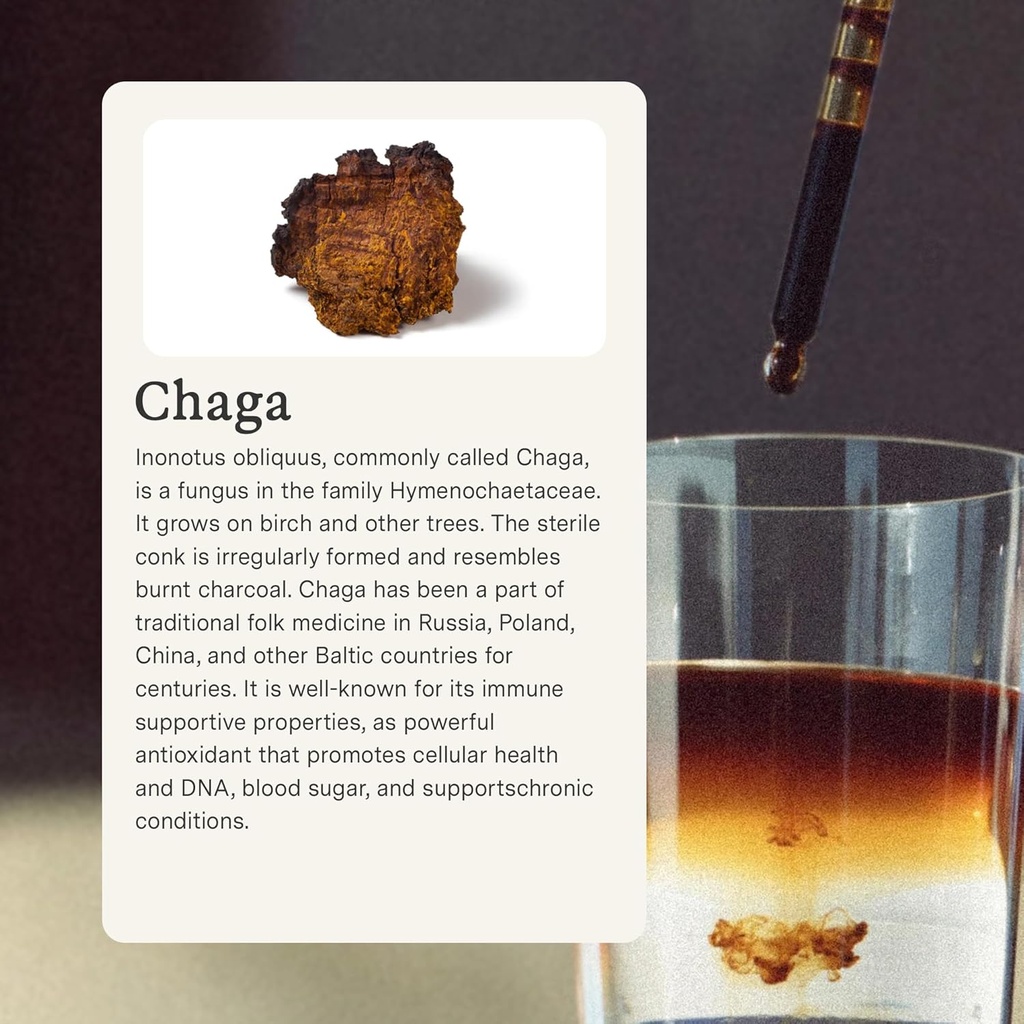 rainbo---chaga-mushroom-tincture---dual--3.jpg
