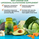 immune-antioxidant-support-bundle---lipo-2.jpg