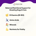 breeders-edge-b-strong-powder-b-complex--4.jpg