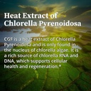 biopure-chlorella-growth-factor-capsules-5.jpg