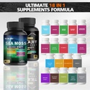 mrma-rich-sea-moss-and-shilajit-bundle---3.jpg