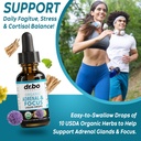 adrenal-support-mushroom-liquid-drops----4.jpg