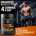 creatine-monohydrate-gummies-5mg-with-bc-5.jpg