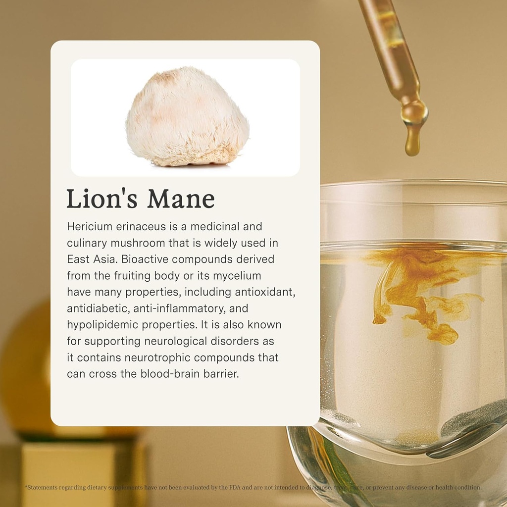 rainbo---lions-mane-mushroom-tincture----3.jpg