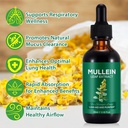 2-pack-mullein-drops-for-lungs-natural-m-4.jpg