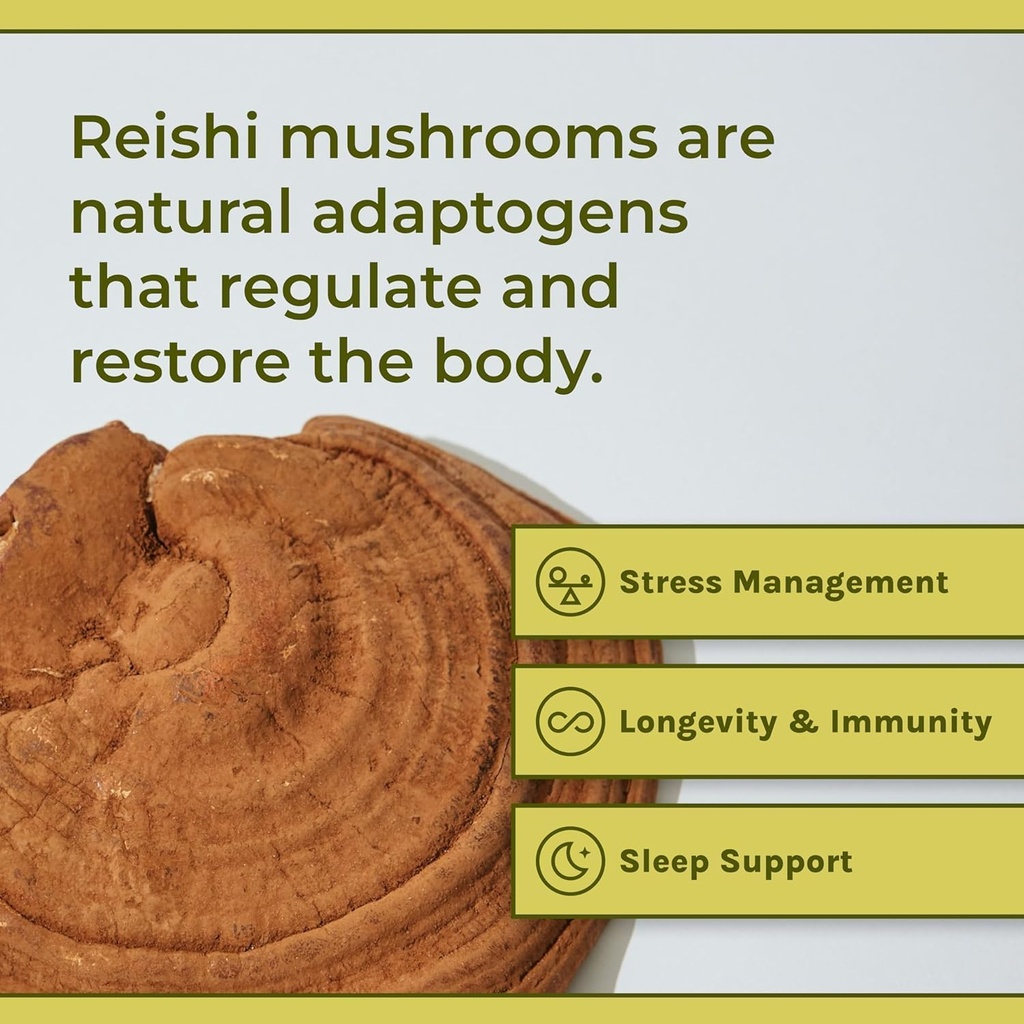 naturealm-reishi-mushroom-powder-supplem-3.jpg